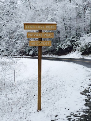 Fern Cove Road on Skylake Road