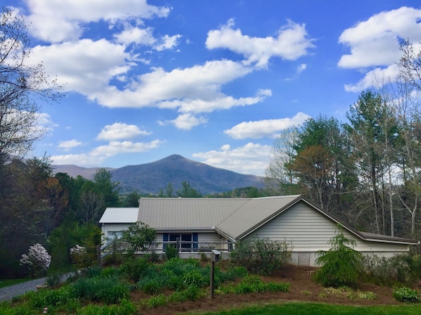 south side of guest house, first view as you drive in