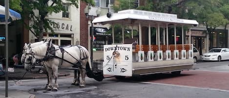 Historic Wilmington Trolley Rides!