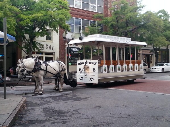 Historic Wilmington Trolley Rides!