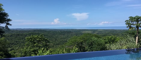 Panoramic ocean and jungle view!