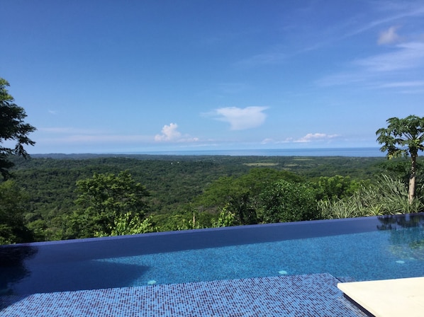 Panoramic ocean and jungle view!