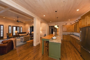 Second spacious great room on lower level with kitchen