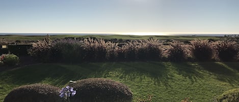 Ocean and golf course views across the backyard