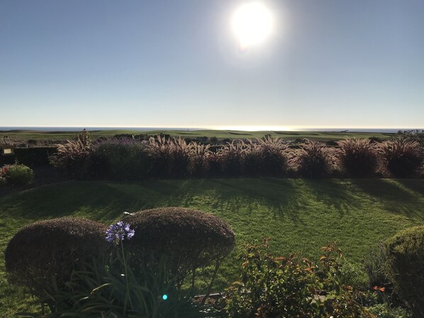 Ocean and golf course views across the backyard