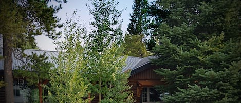 Front yard in summer months, natural landscaping, aspens and fir