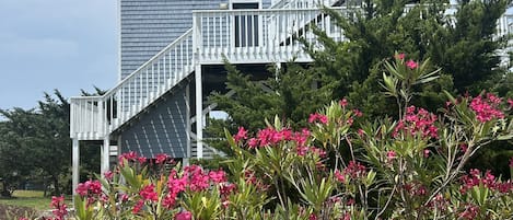 Beautiful flower lined boardwalk to beach at edge of property