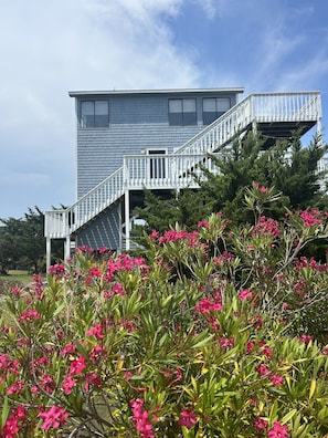 Beautiful flower lined boardwalk to beach at edge of property
