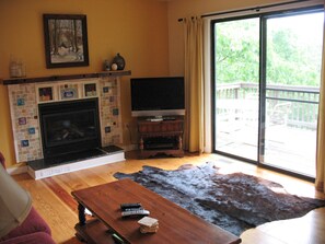 Gas fireplace with cow hide rug looks straight out to mountains.