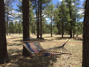 Hammock