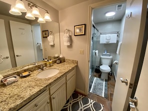Master Bathroom has large granite vanity sink & remodeled walk-in shower room.