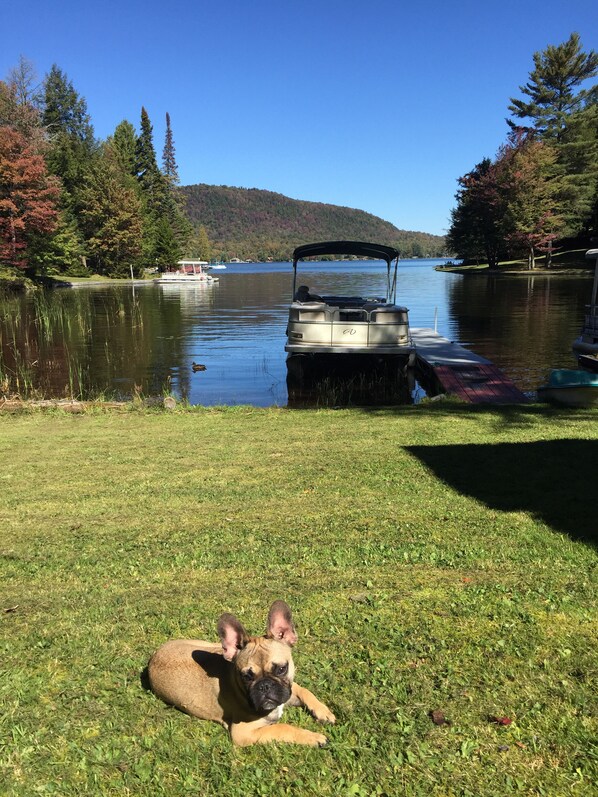 Great vacation spot for fall, amazing view of the foliage 