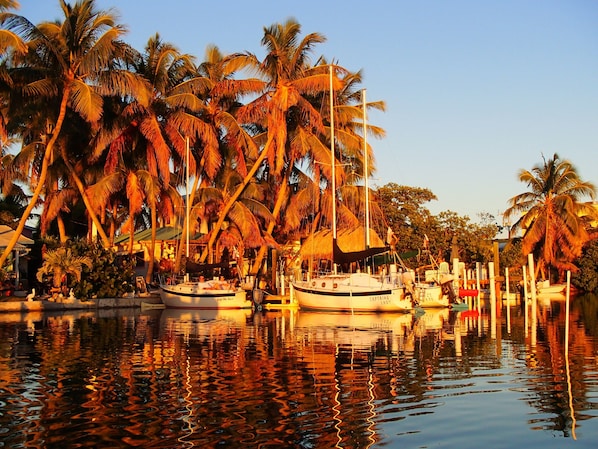 Docks by the cottages