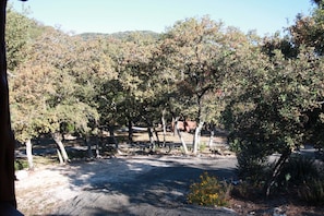 Road down from one cabin with a pergola in the distance