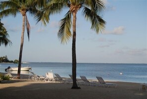 Gorgeous View from the beach