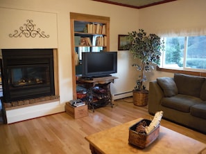 Family room with 3 way fire place