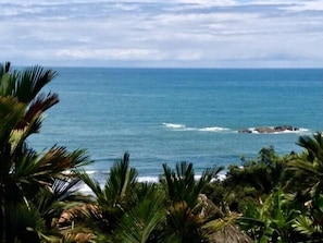 View from the palapa and patio. 