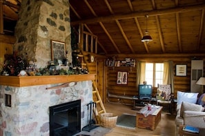 Main Living Area