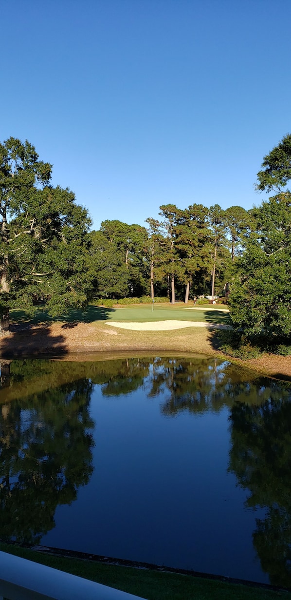 view from the balcony of the 8th green of Magnolia golf course