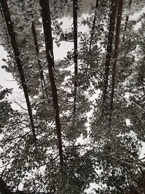 Ulkoalueet