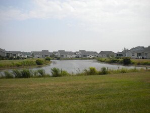 View from the backyard