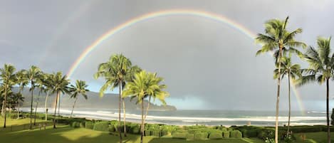 Morning Hanalei rainbows, as seen from front yard.