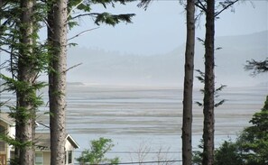 Netarts Bay is a short walk or drive from the house.
