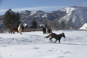 Snow and ski sports