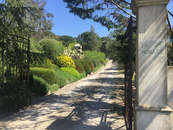 Entrance Gate