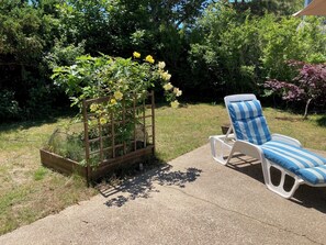 Terassi/patio