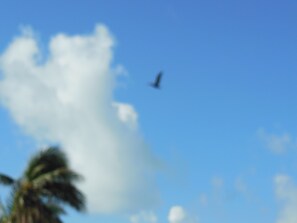 Skies in Islamorada