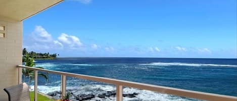 Lanai View #1