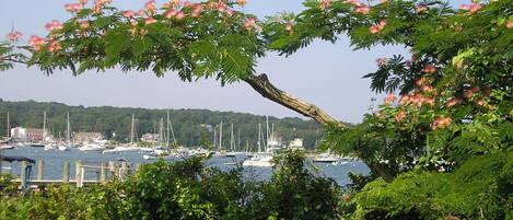 The harbor just steps from the house.