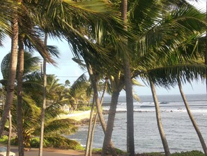 Ocean view