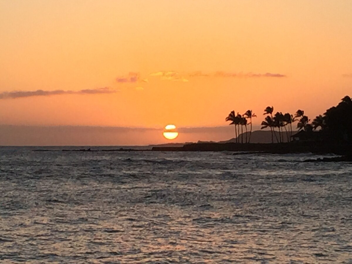 Beautiful Ocean View in Poipu! Special Rates for Vacant Dates!