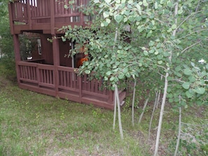 Back Deck Surrounded by Aspen Trees