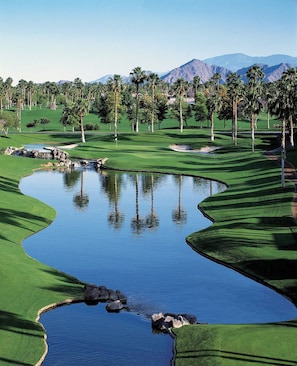 Palm Valley Country Club!  The Spectacular Views and Location!