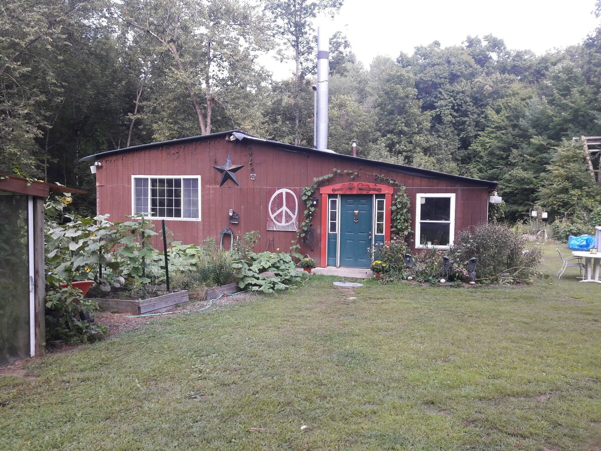 Main Image