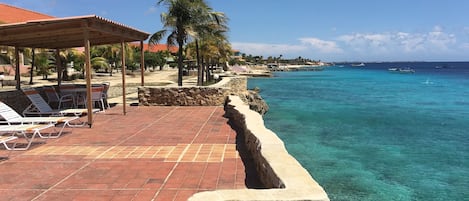 Sand Dollar has the longest oceanfront of any Bonaire location.