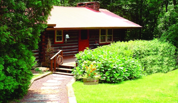 Front View - Summer