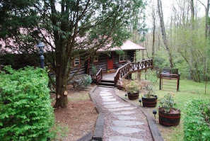 Front View Fall