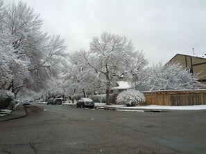 Large mature trees line the street