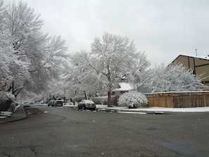 Large mature trees line the street