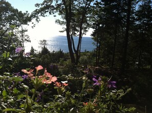 Ocean view from the porch