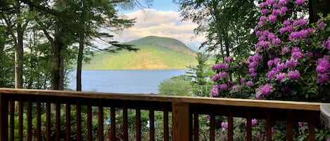 Lake view from the deck