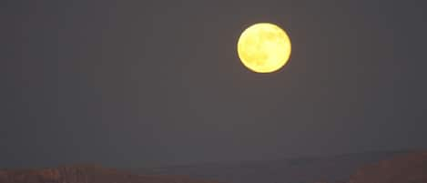 moon rise over tarantula ranch,texas