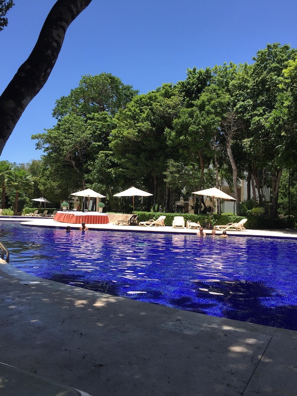 Pool at Sian Ka'an - "The Cenote"