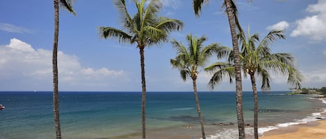 View from Lanai