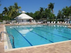 Junior Olympic Size Pool with Cabana Bar