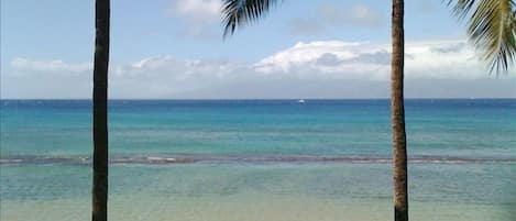 Your view from the living room. Unobstructed, 180 degrees, 40 feet from ocean!